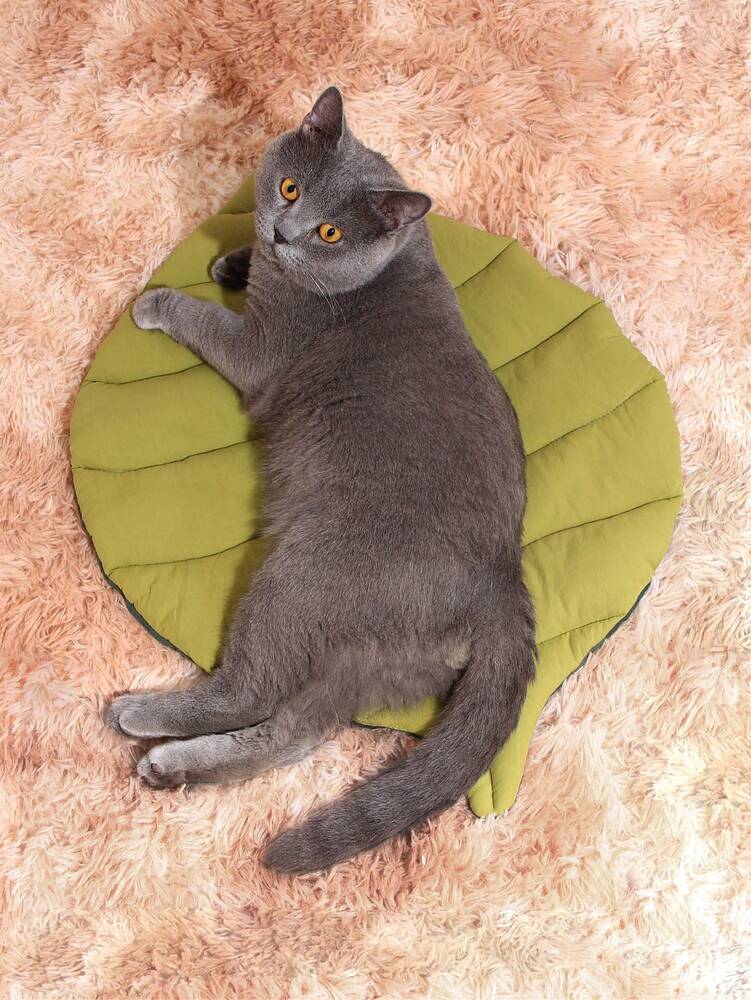Women's Dual Color Leaf Shaped Washable Pet Bed Soft Thin Cushion For Small Medium Cats Dogs All Season Comfortable Cozy Sleeping Mat